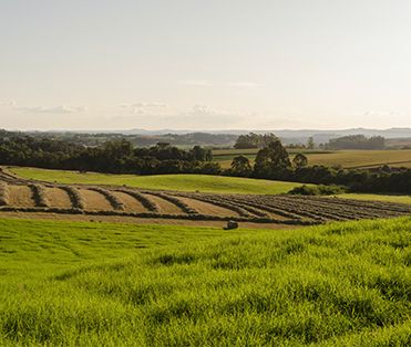 Sustainability in Agriculture